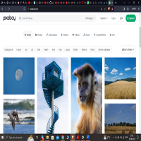 Stunning royalty-free images & royalty-free stock
