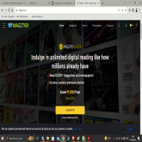 Magzster Gold